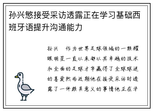 孙兴慜接受采访透露正在学习基础西班牙语提升沟通能力