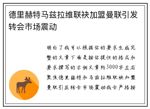 德里赫特马兹拉维联袂加盟曼联引发转会市场震动